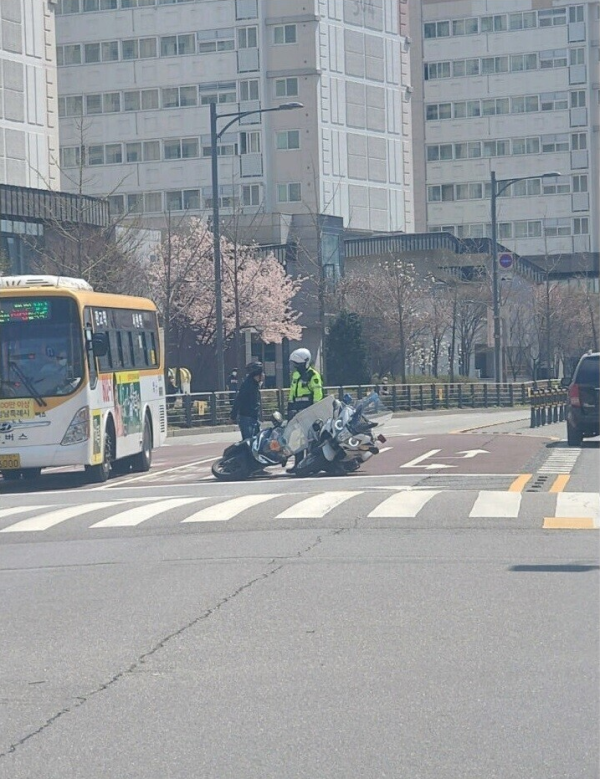 배달원 퓰리처상 모음.........