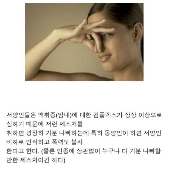 백인이나 흑인이 인종차별할때 반격기